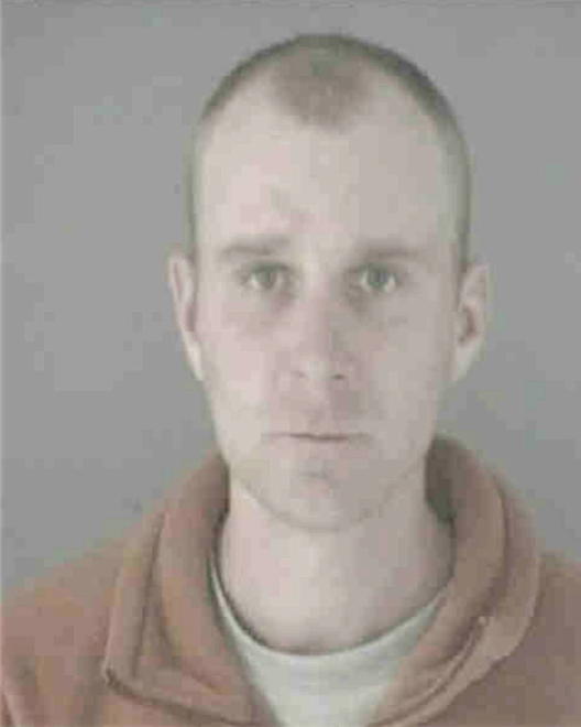 BOURSCHEIDT, JONATHON N - Peoria County, IL