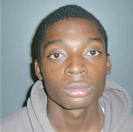 BROWN, TONNIE TERRIAL - Peoria County, IL
