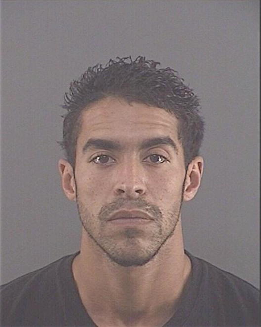 MCDONALD, TREVOR GUY - Peoria County, IL
