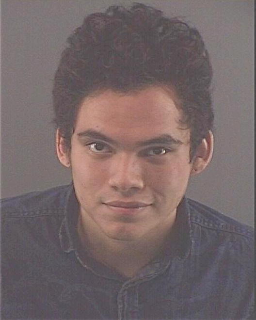 CONTRERAS, ARMAND J - Peoria County, IL