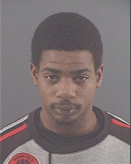 WILLIAMS, STEVEN LA - Peoria County, IL