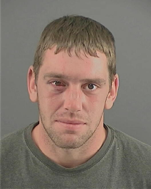 PARLIER, STEVEN C - Peoria County, IL