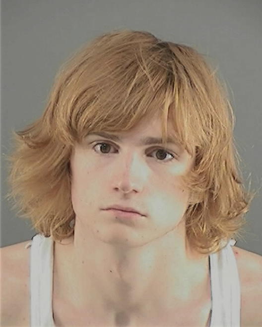 GEYER, ANTHONY - Peoria County, IL