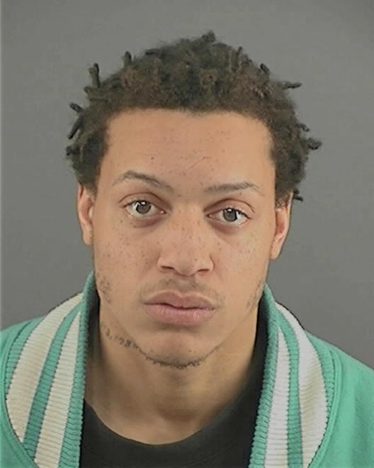 BURNSIDE, TERRANCE D - Peoria County, IL