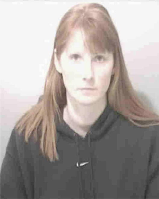 FREEMAN, TONYA LEIGH - Peoria County, IL