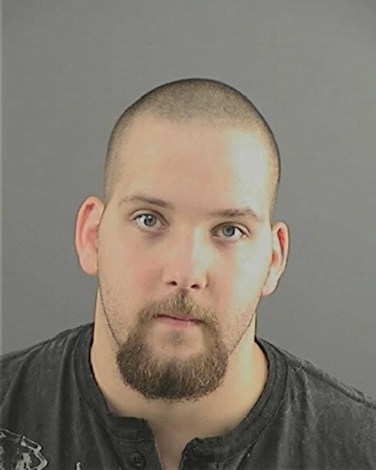 BRIDGEMAN, DAVID L - Peoria County, IL