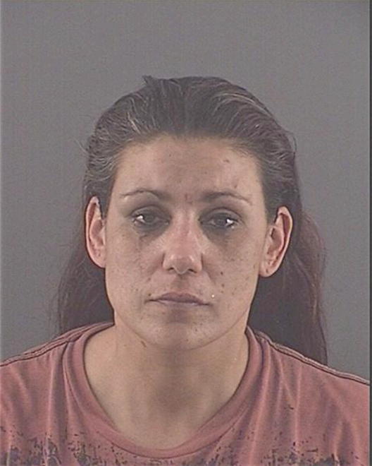 BOWCOTT, CAYSE S - Peoria County, IL
