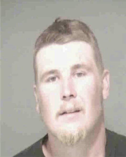 NELSON, BRANDON JAMES - Peoria County, IL