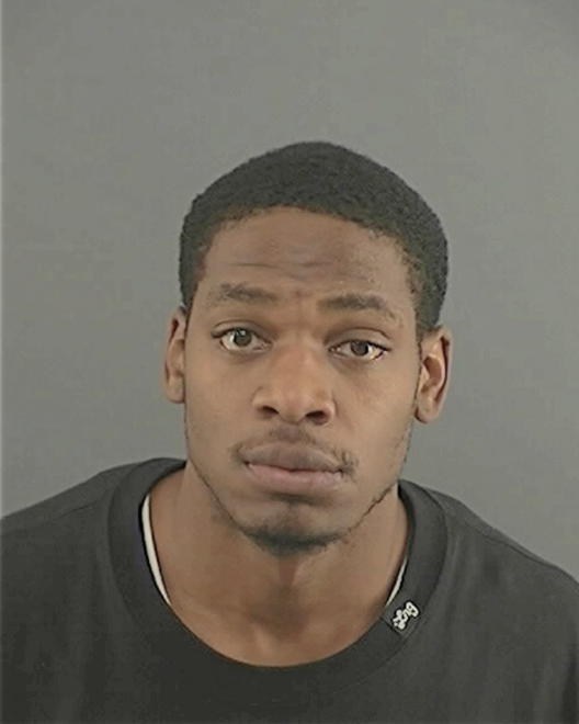 BRADLEY, TERRENCE MATTHEW - Peoria County, IL