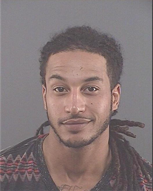 STEEG, MICHAEL R - Peoria County, IL