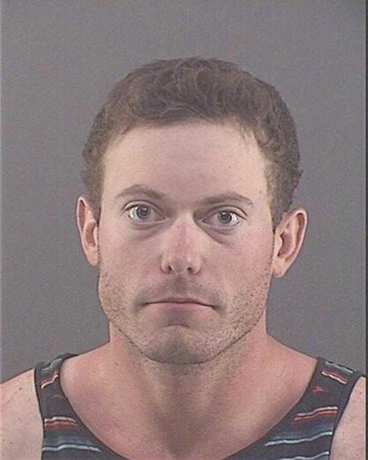 NESLER, CORY L - Peoria County, IL