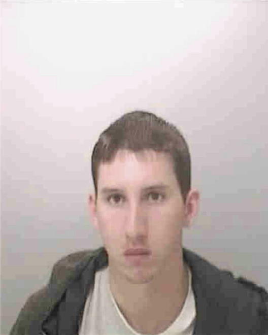 NEWSOME, JASON ALAN - Peoria County, IL