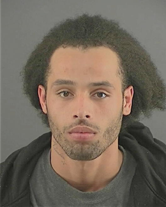 REINBERG, TIMOTHY DANIEL - Peoria County, IL
