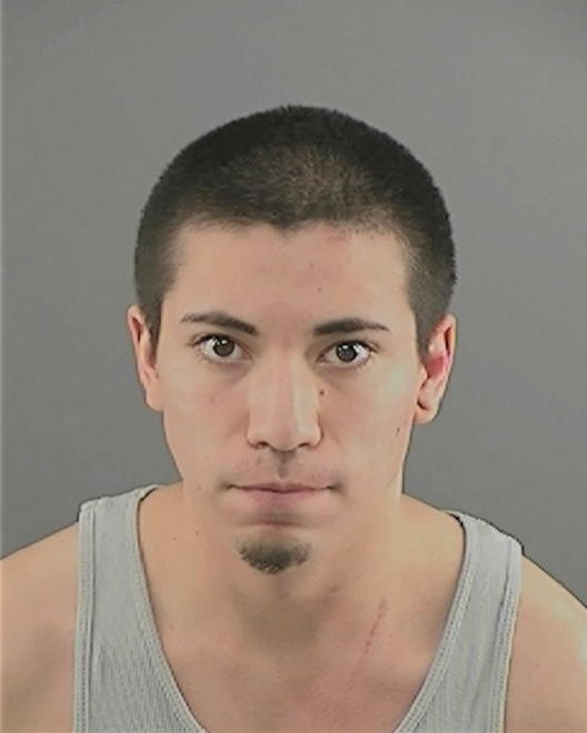 GARZA, DAVID - Peoria County, IL