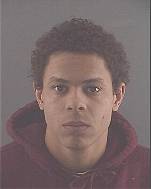 ALLEN, DOMINIQUE L - Peoria County, IL