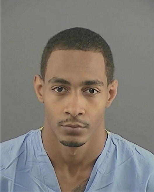 ANDERSON, BRANDON ALEXANDER - Peoria County, IL