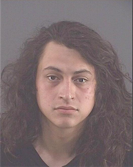 RODRIGUEZLOPEZ, LUIS R - Peoria County, IL