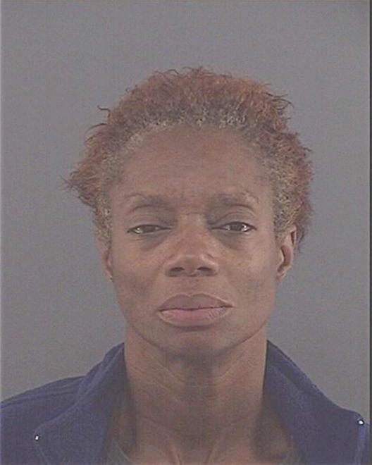 WARE, TINA RENEE - Peoria County, IL