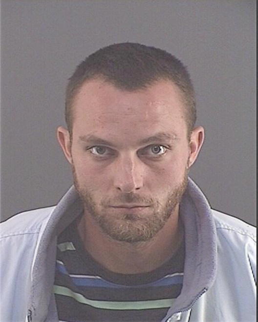 DIVELEY, BRANSON N - Peoria County, IL